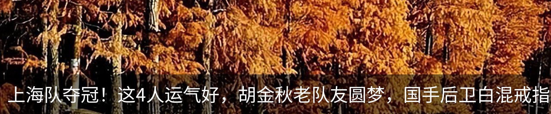 行业资讯