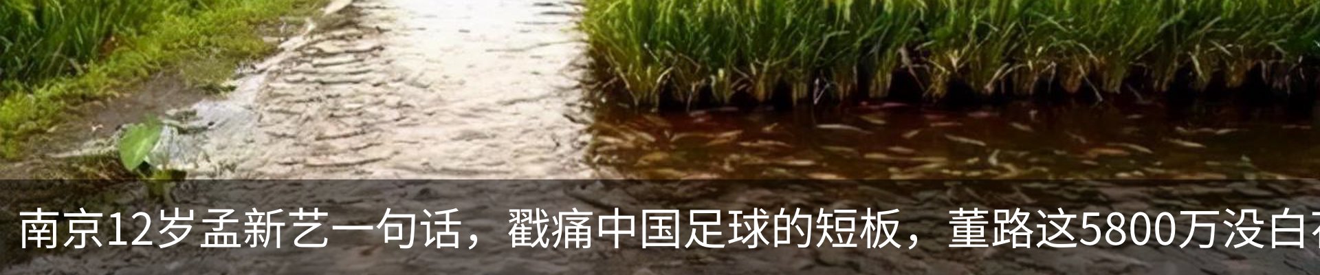 行业资讯