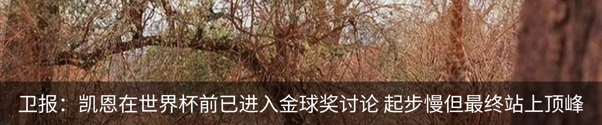 行业资讯