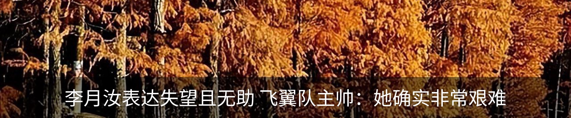 行业资讯
