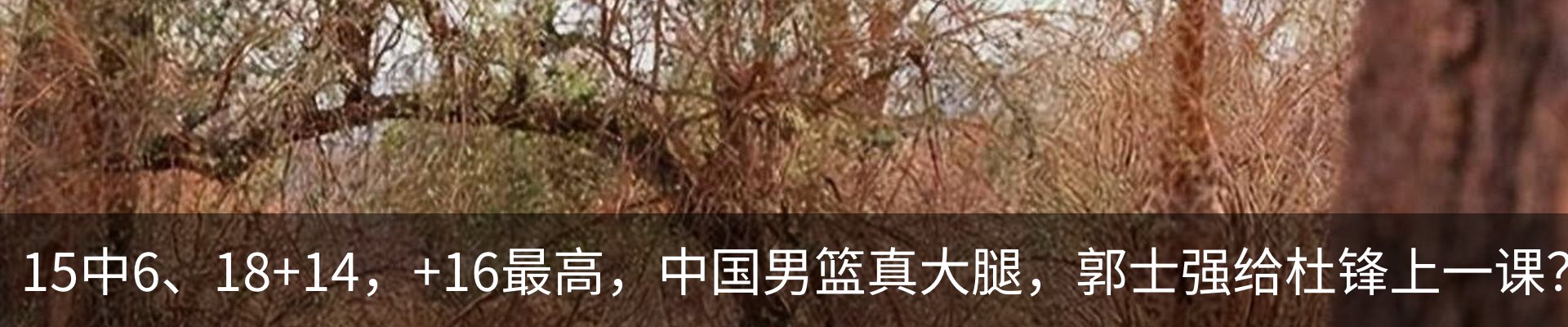 行业资讯